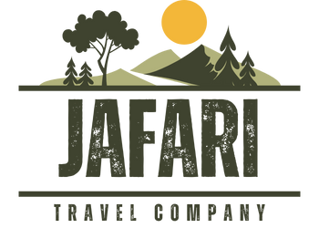 تركيب الأجهزة